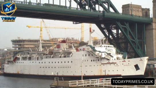 tuxedo princess