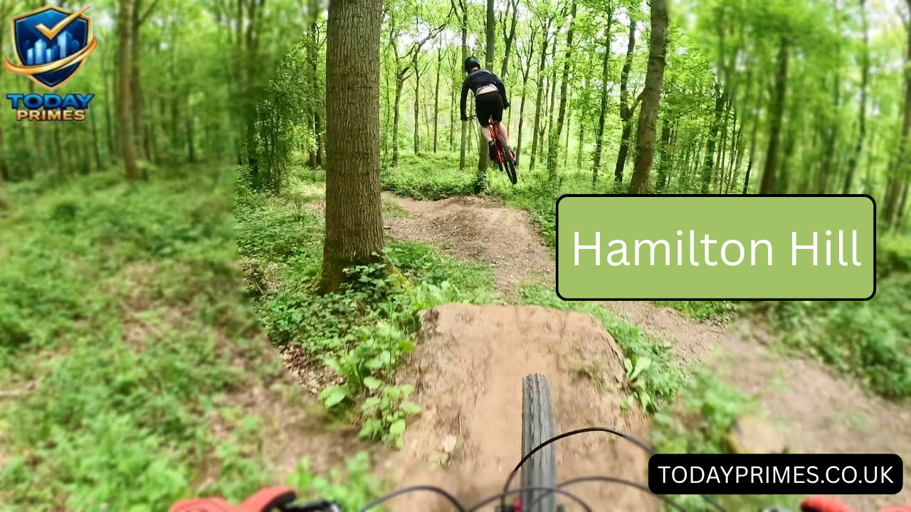 Hamilton Hill
